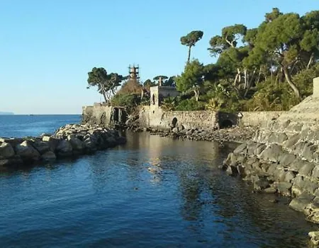 Vitiello