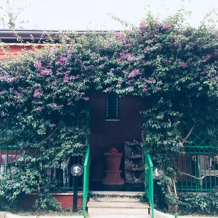 Vitiello Bed & Breakfast *
